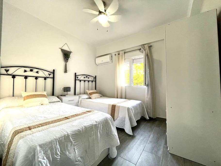Apartamentos Rincon Andaluz 3 Córdoba Exteriör bild