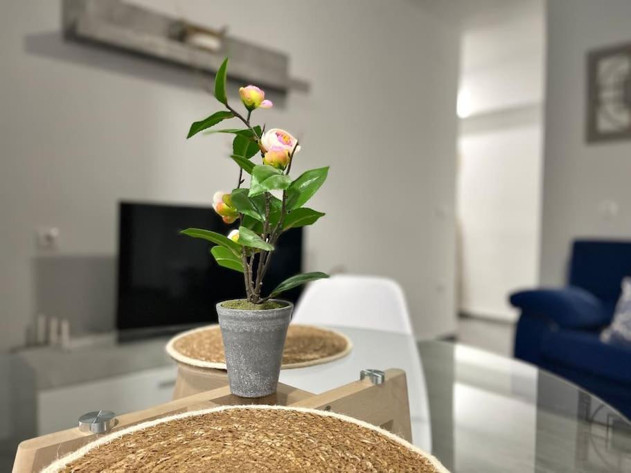 Apartamentos Rincon Andaluz 3 Córdoba Exteriör bild